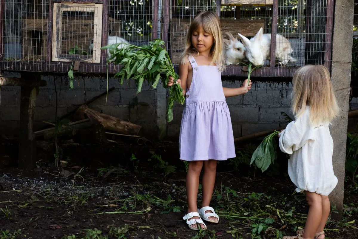 Anouk Pinafore - Lilac
