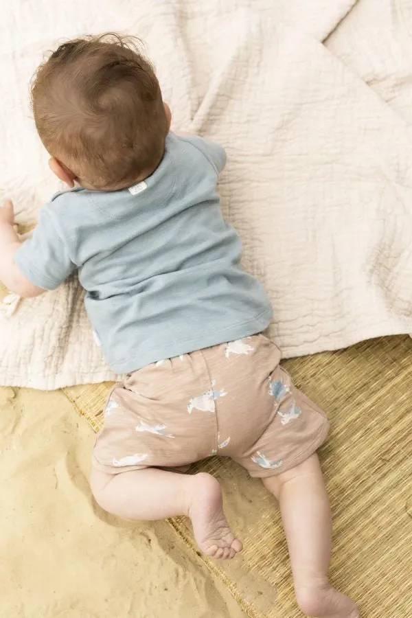 Beckley Shorts-Taupe