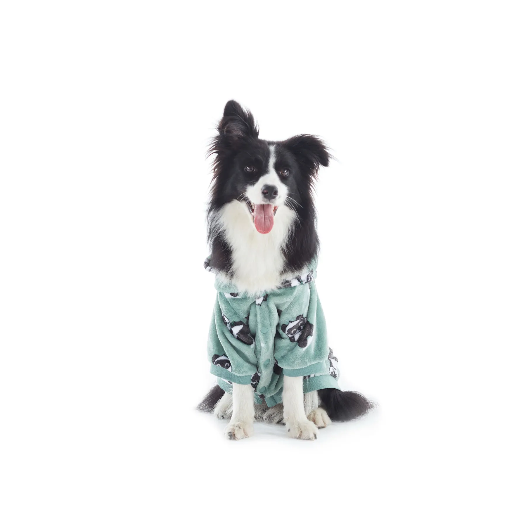 Charlie's Uggo Pand-UH! Dog Hoodie Sage Small