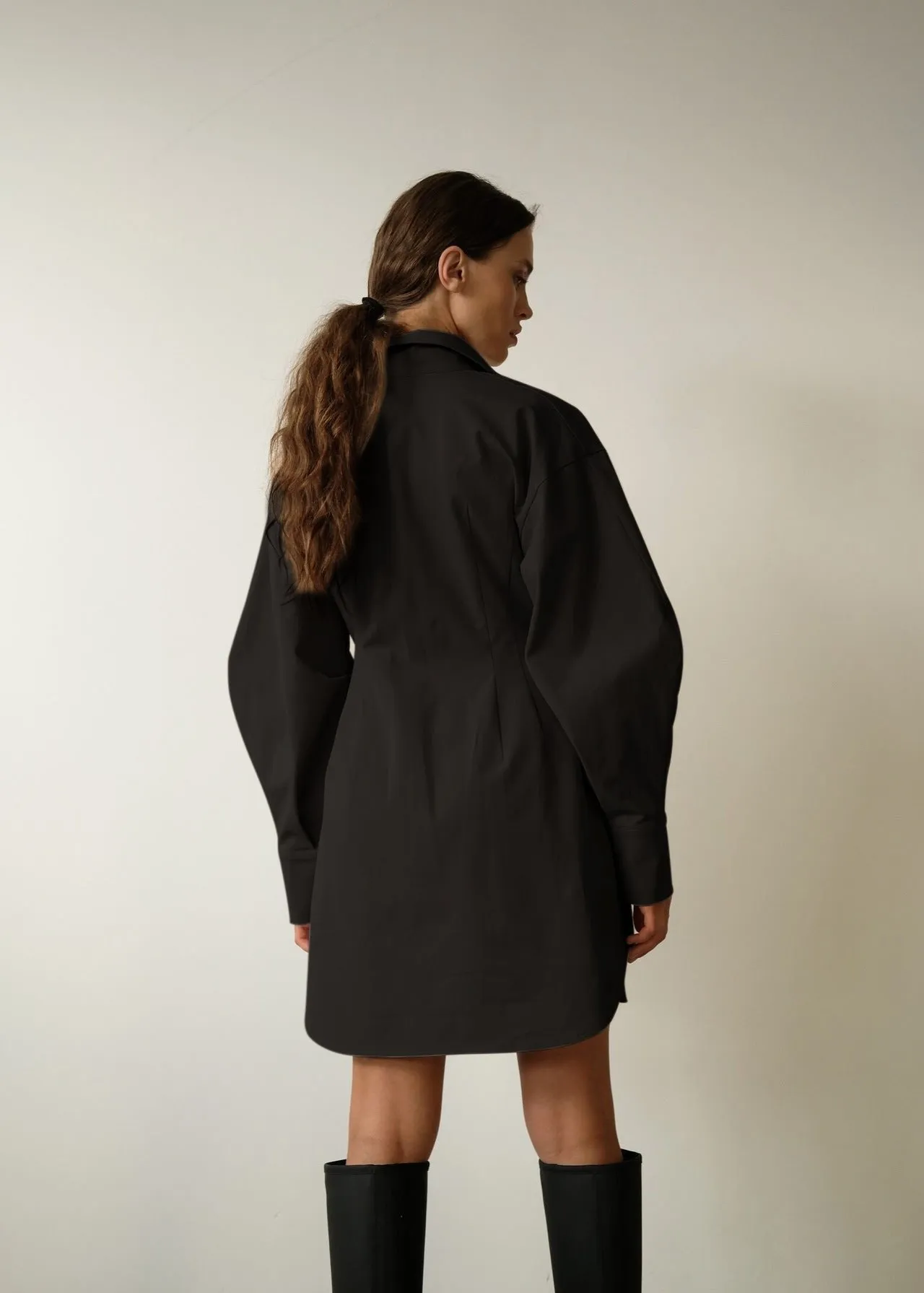 Classic TailoRed Shirt Dress