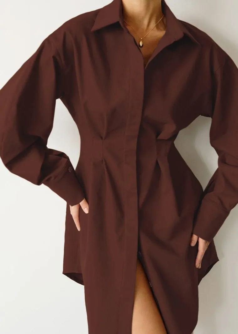 Classic TailoRed Shirt Dress