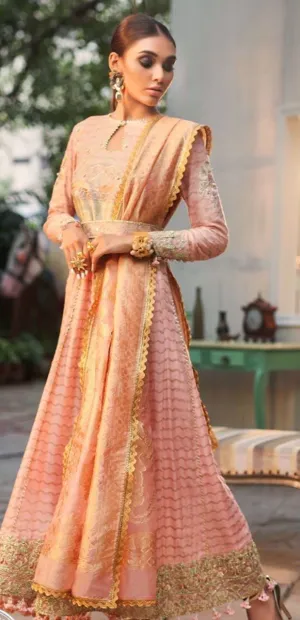 Cotton net gown Pakistani style for women # P2647