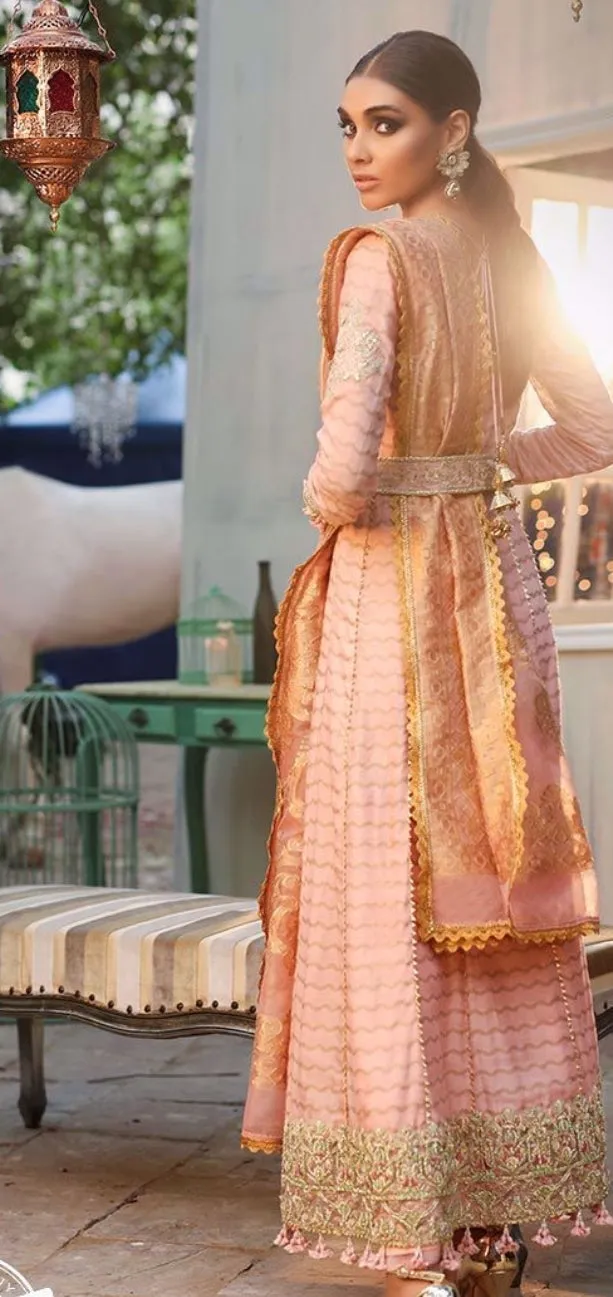 Cotton net gown Pakistani style for women # P2647