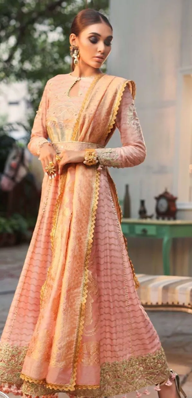 Cotton net gown Pakistani style for women # P2647