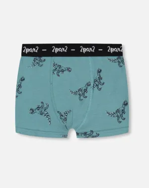 Deux Par Deux Organic Cotton Teal Blue Mechanical Dinosaurs Underwear: Size 2/3 to 11/12 Years