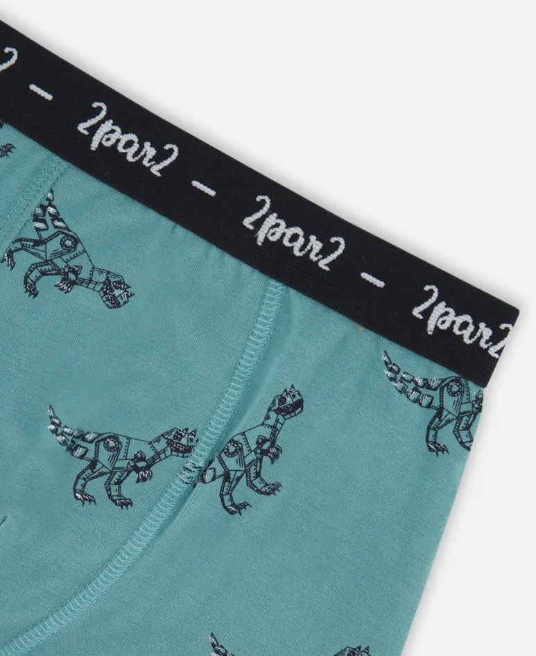 Deux Par Deux Organic Cotton Teal Blue Mechanical Dinosaurs Underwear: Size 2/3 to 11/12 Years