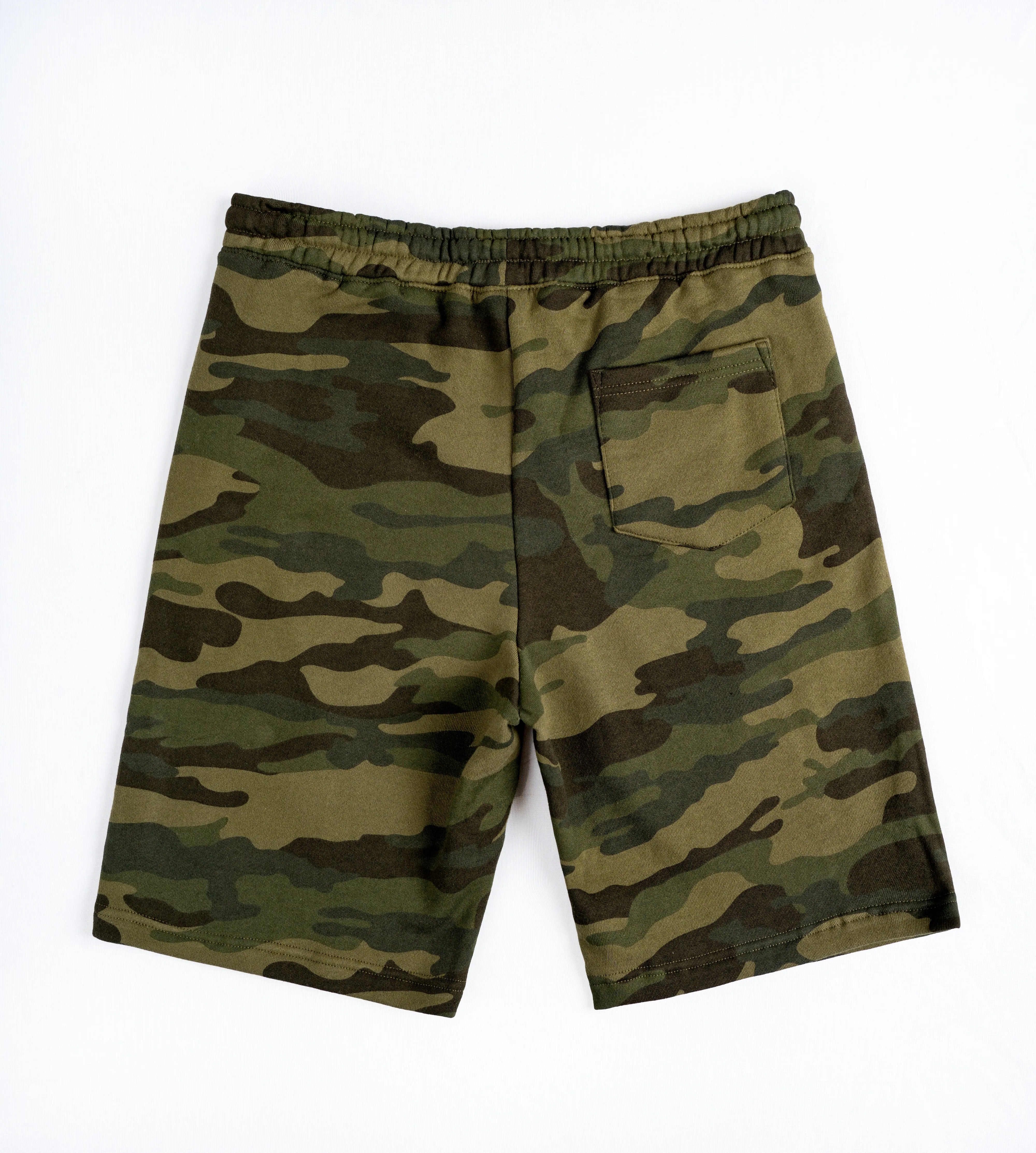 DR Logo Shorts