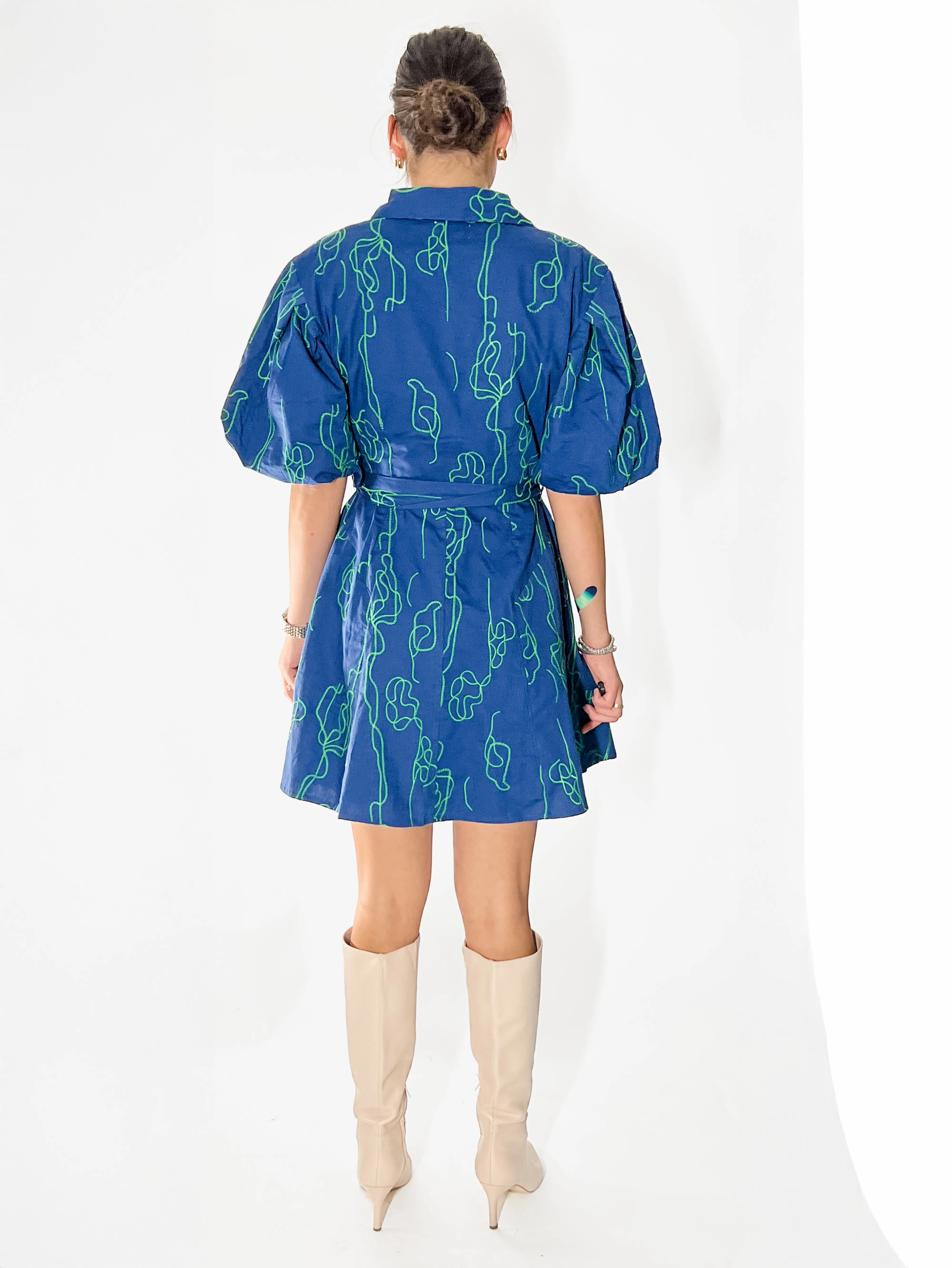 Eliza Vine Embroidered Cotton Dress