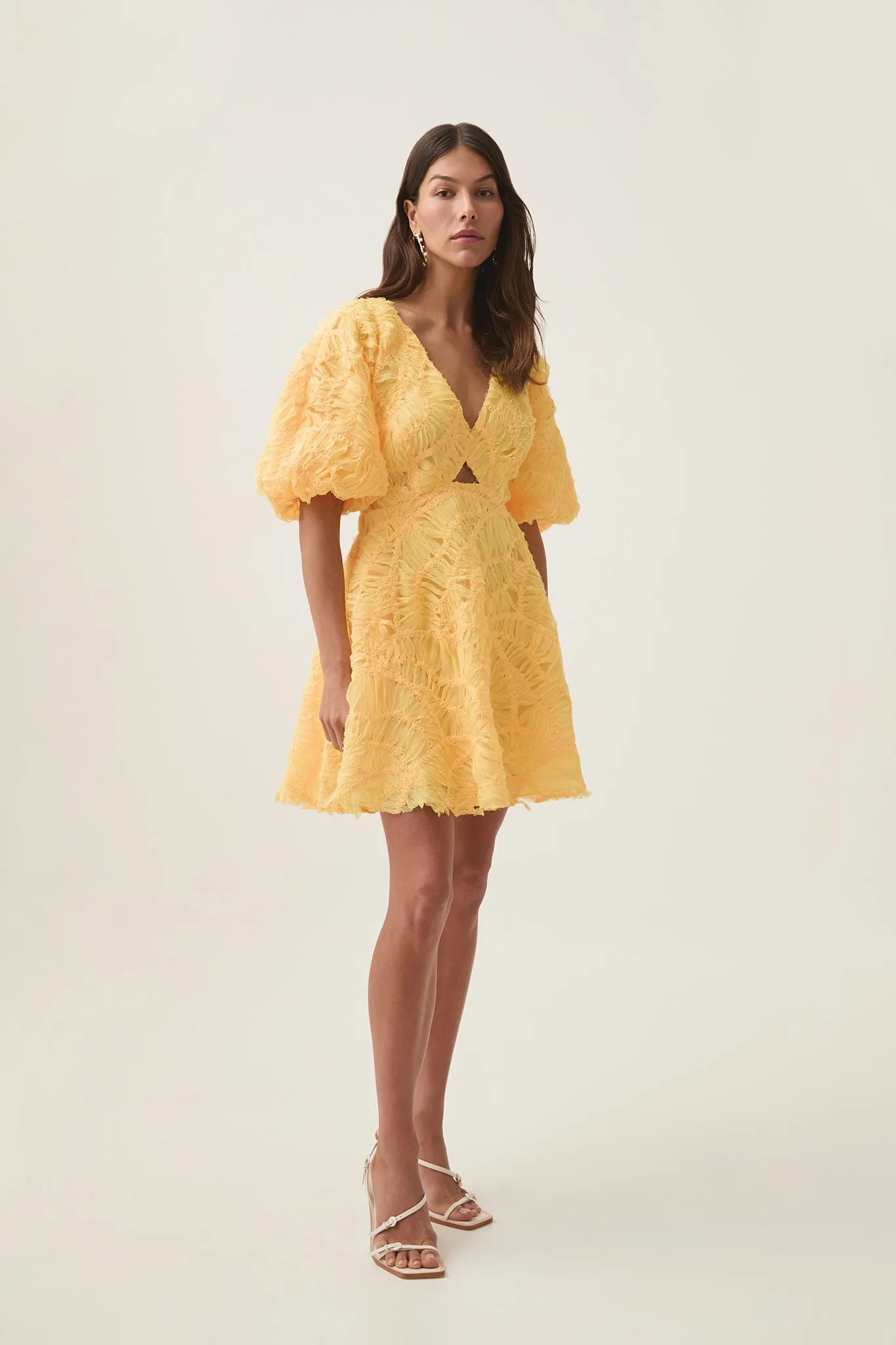 Florential Mini Swing Dress