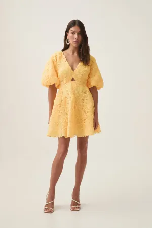 Florential Mini Swing Dress