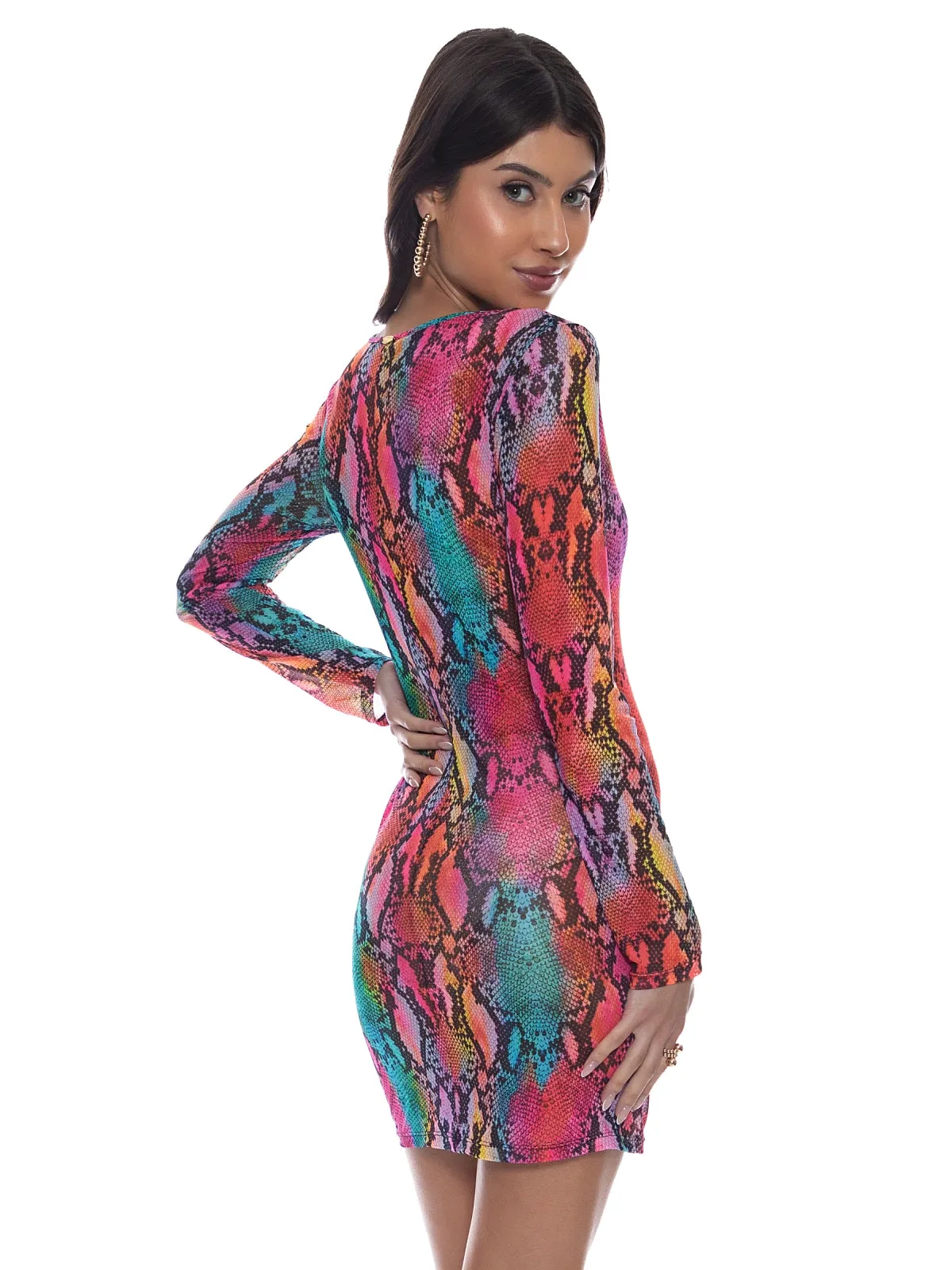 Long Sleeve Mini Dress