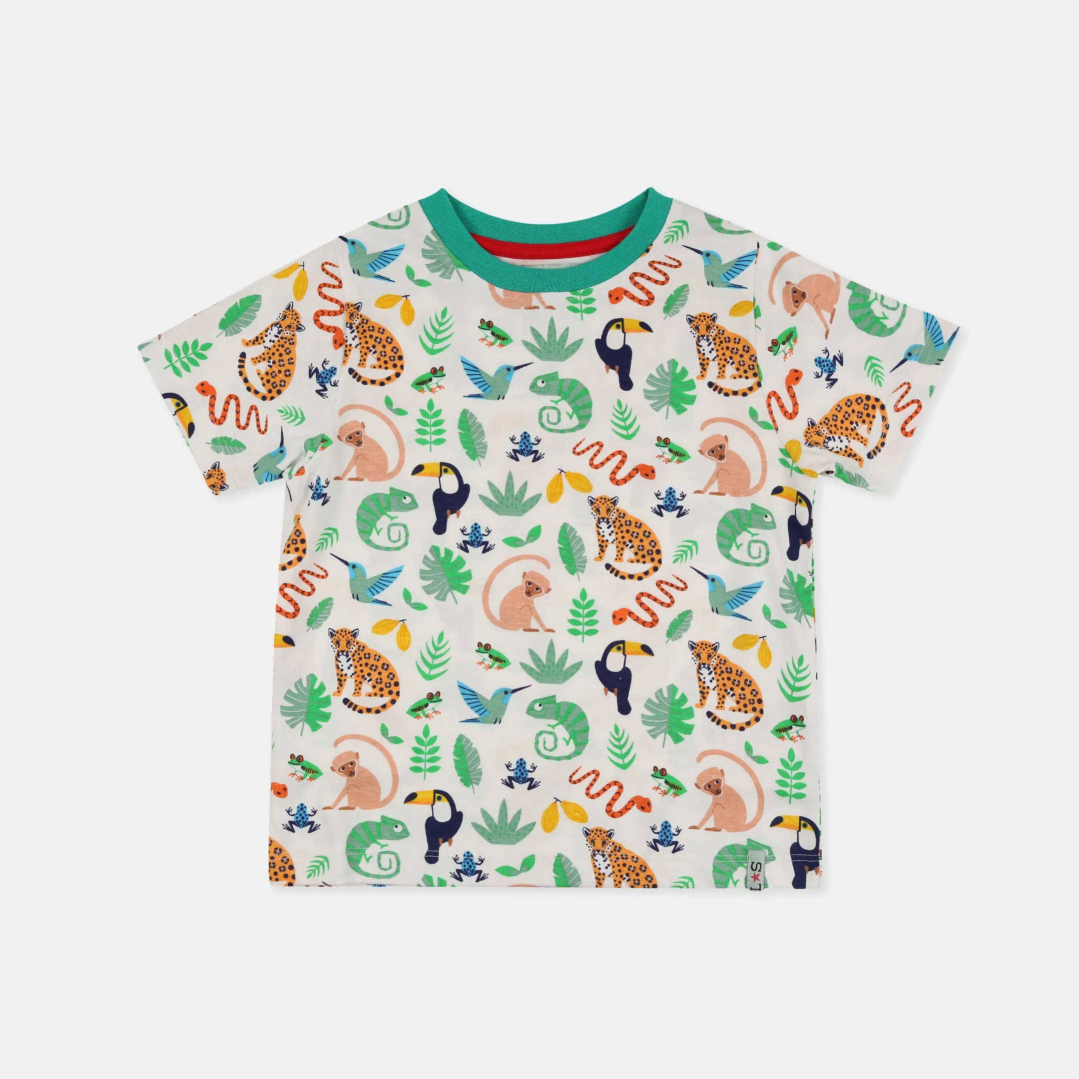 Multicoloured Animal Safari And Stripe Print T-Shirt - 2 Pack