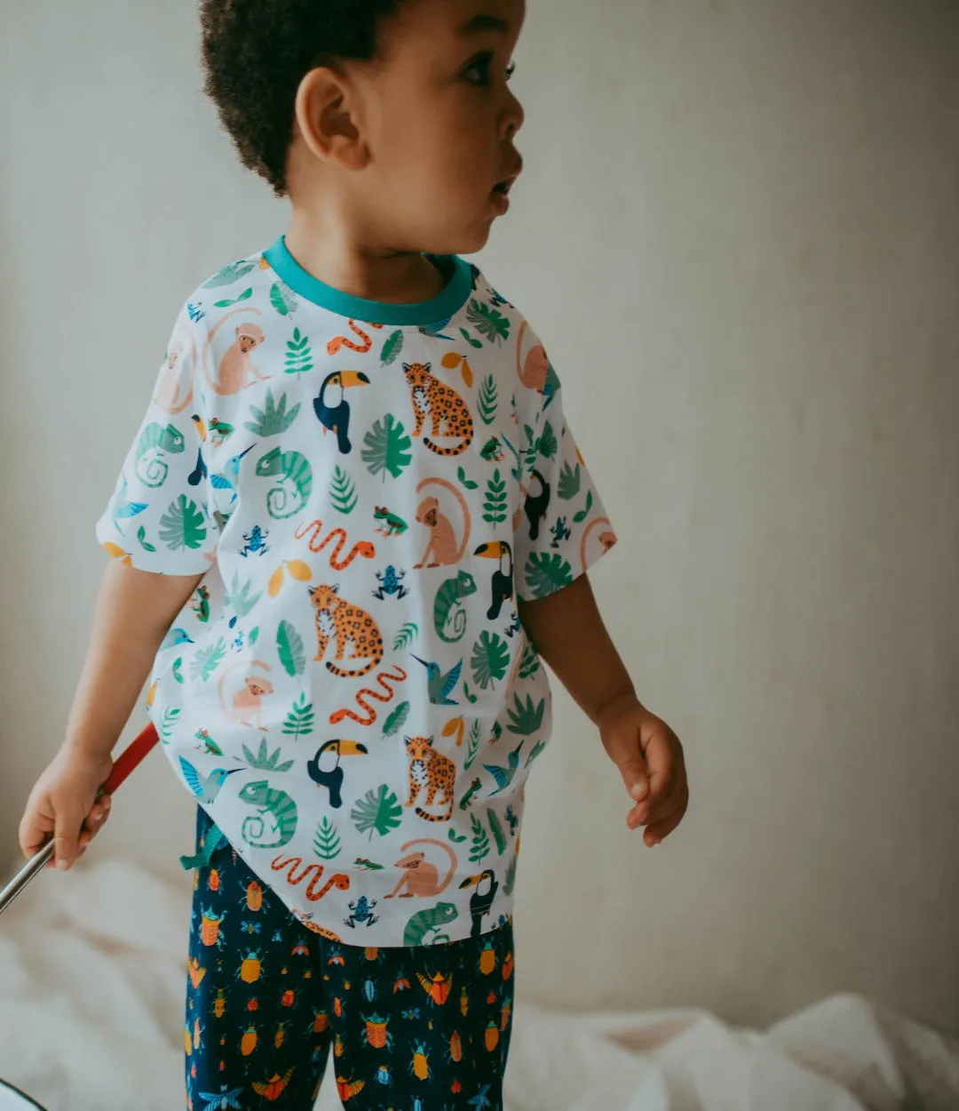 Multicoloured Animal Safari And Stripe Print T-Shirt - 2 Pack