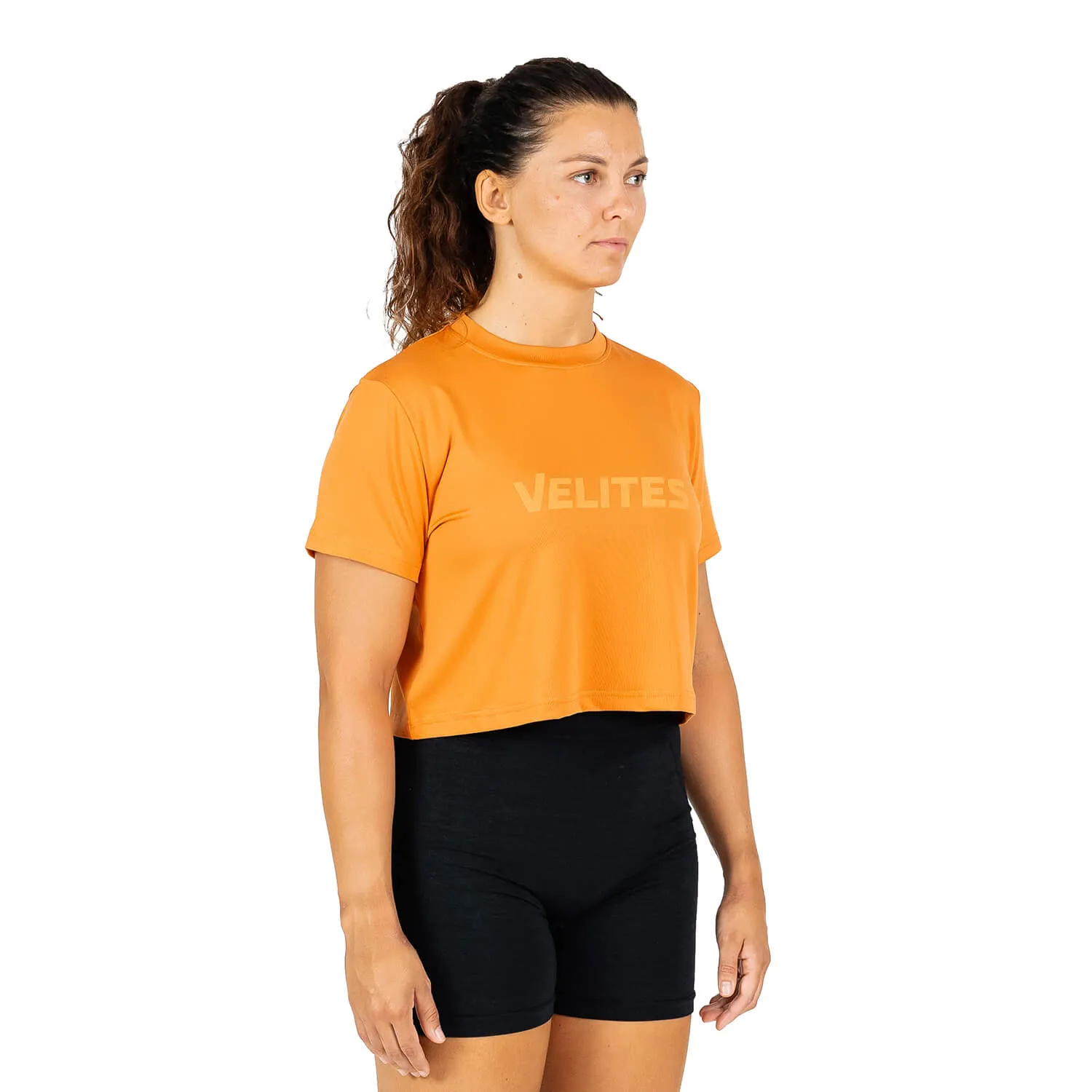 PACK 6 HOLO CROP FALL   BASICS
