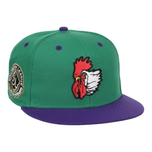 Port City Roosters EFF MiLB Vintage Snapback