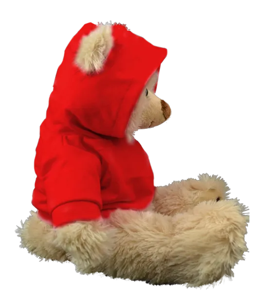 Red Hoodie