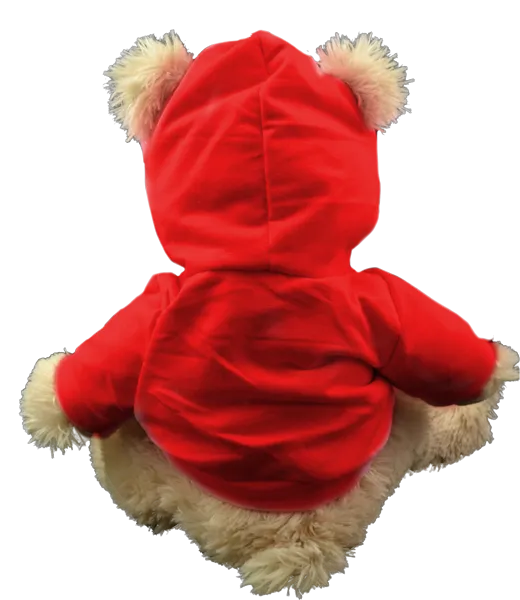 Red Hoodie