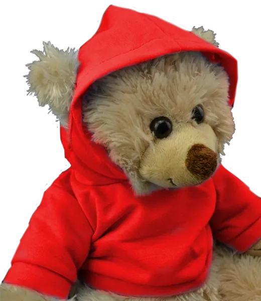 Red Hoodie