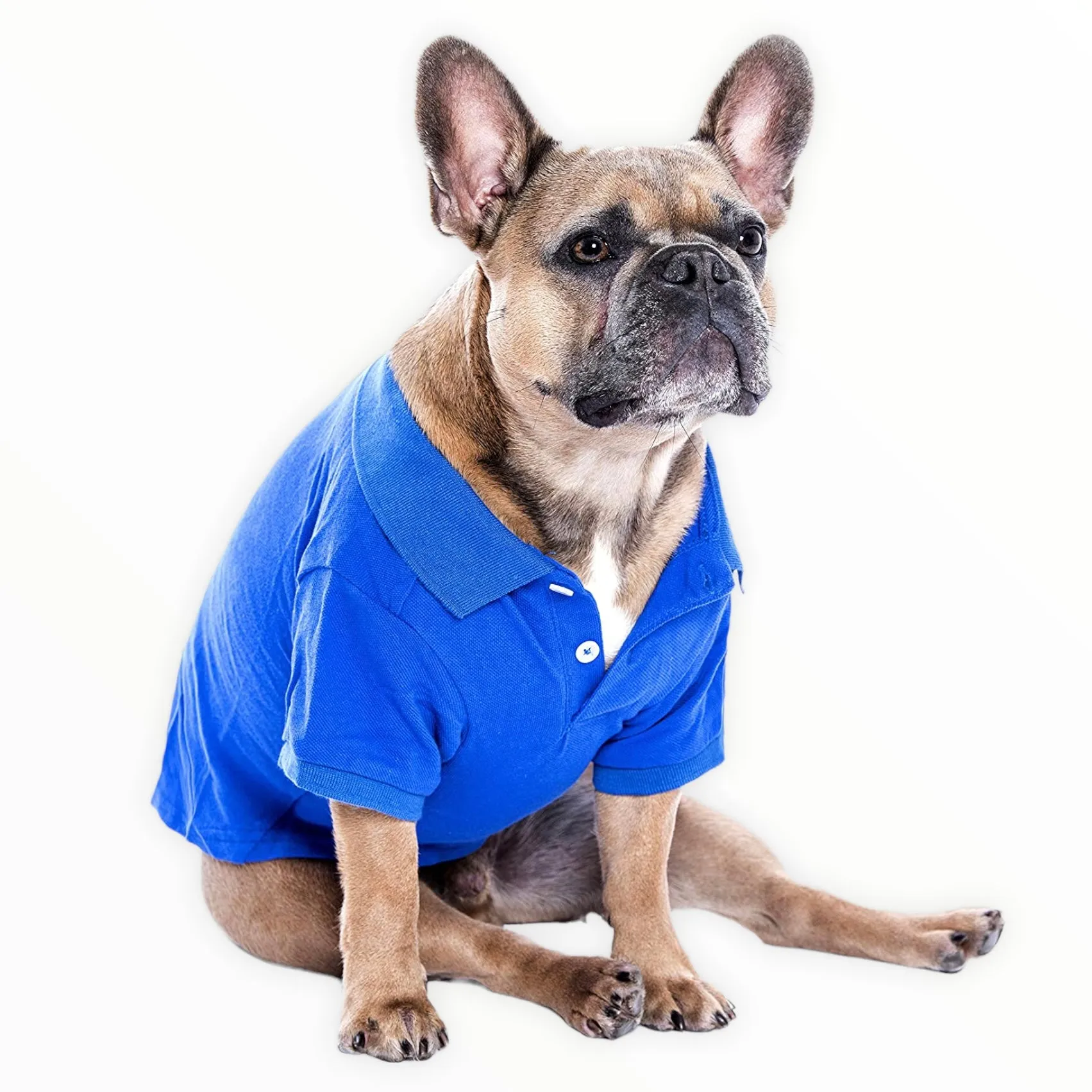 sport polo tee - blue - few left!