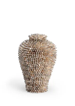 Strombus Shell Vase