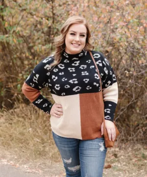 THE TRIFECTA IN LEOPARD COLORBLOCK SWEATER in store