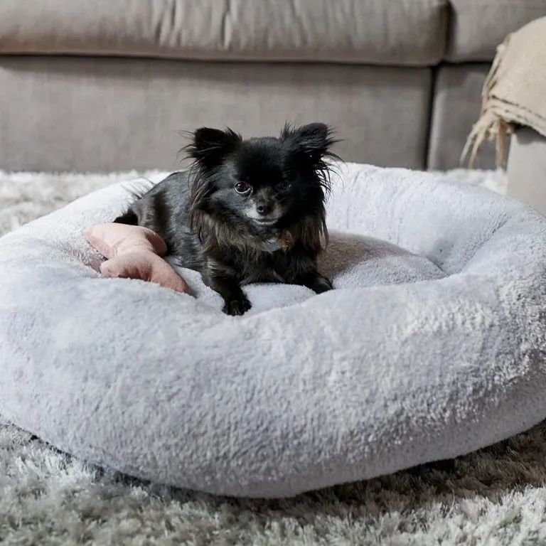 William Walker Dog Bed Comfy Cloud Dark Grey